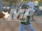 Photo from the gallery "Harris County vs. Ola (GHSA 4A State Tournament)"