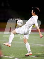 Photo from the gallery "Carlmont @ Mountain View"