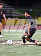 Photo from the gallery "Carlmont @ Mountain View"