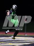 Photo from the gallery "Carlmont @ Mountain View"