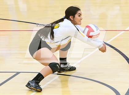 Thumbnail 2 in Marcos de Niza @ Arcadia photogallery.