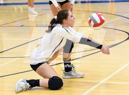 Thumbnail 3 in Marcos de Niza @ Arcadia photogallery.