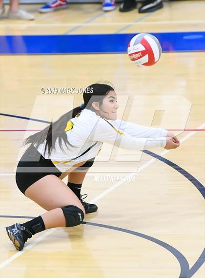 Thumbnail 3 in Marcos de Niza @ Arcadia photogallery.
