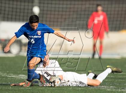 Thumbnail 1 in Loyola vs. Los Alamitos (CIF Division 1 Regional Semifinal) photogallery.