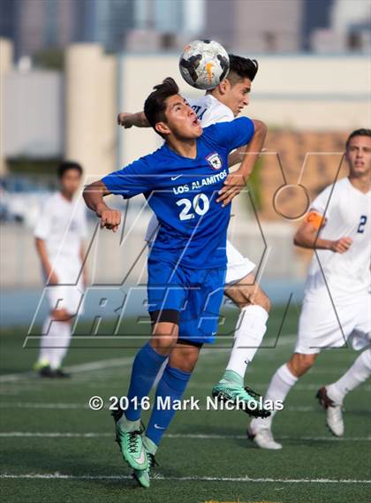 Thumbnail 1 in Loyola vs. Los Alamitos (CIF Division 1 Regional Semifinal) photogallery.