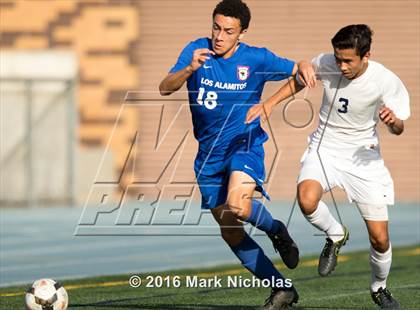 Thumbnail 2 in Loyola vs. Los Alamitos (CIF Division 1 Regional Semifinal) photogallery.