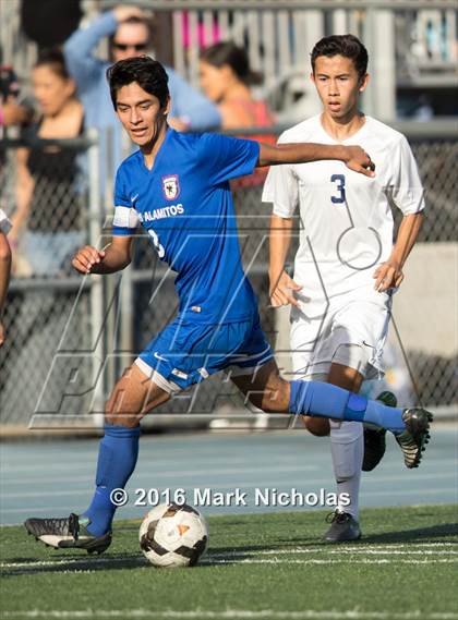 Thumbnail 1 in Loyola vs. Los Alamitos (CIF Division 1 Regional Semifinal) photogallery.