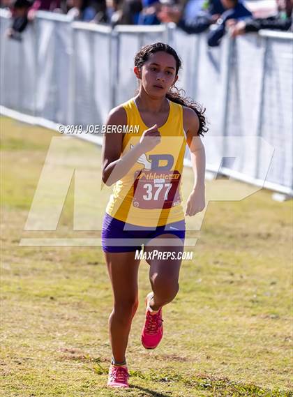 Thumbnail 1 in CIF Central Section Cross Country Championships (Girls D2 Race) photogallery.