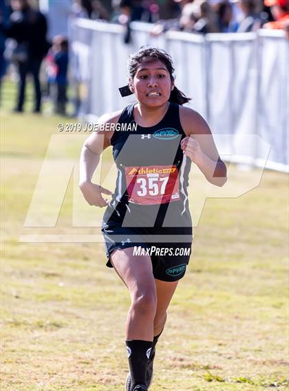 Thumbnail 1 in CIF Central Section Cross Country Championships (Girls D2 Race) photogallery.