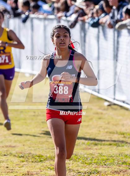 Thumbnail 1 in CIF Central Section Cross Country Championships (Girls D2 Race) photogallery.
