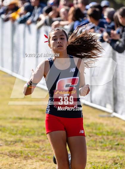 Thumbnail 1 in CIF Central Section Cross Country Championships (Girls D2 Race) photogallery.