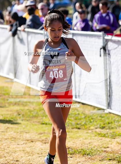 Thumbnail 3 in CIF Central Section Cross Country Championships (Girls D2 Race) photogallery.