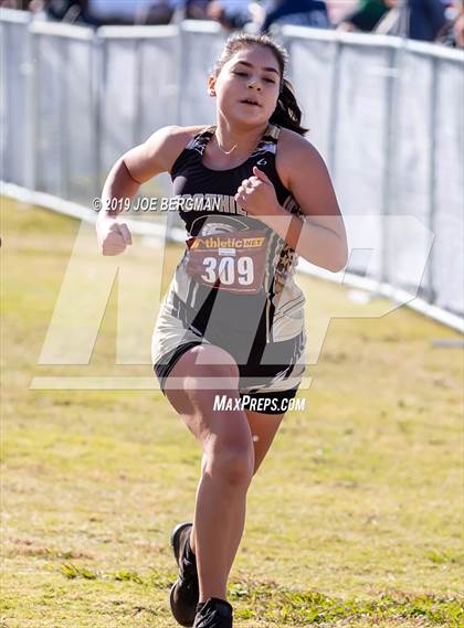 Thumbnail 1 in CIF Central Section Cross Country Championships (Girls D2 Race) photogallery.