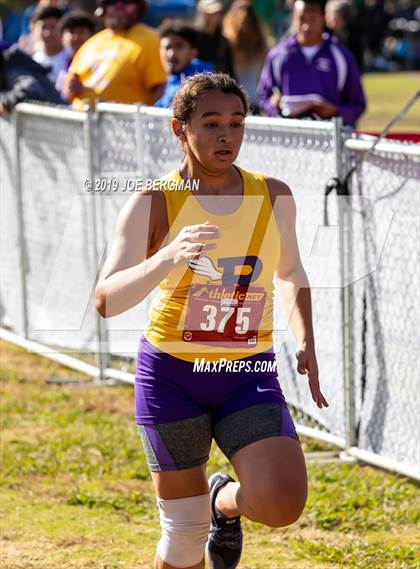 Thumbnail 3 in CIF Central Section Cross Country Championships (Girls D2 Race) photogallery.