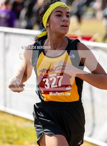 Thumbnail 2 in CIF Central Section Cross Country Championships (Girls D2 Race) photogallery.