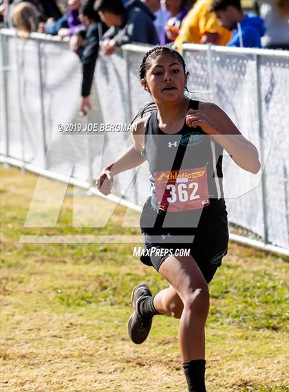 Thumbnail 2 in CIF Central Section Cross Country Championships (Girls D2 Race) photogallery.