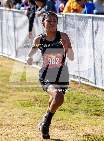 Thumbnail 1 in CIF Central Section Cross Country Championships (Girls D2 Race) photogallery.