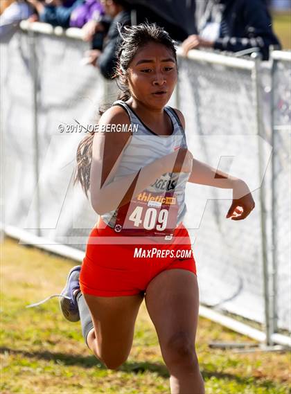 Thumbnail 2 in CIF Central Section Cross Country Championships (Girls D2 Race) photogallery.