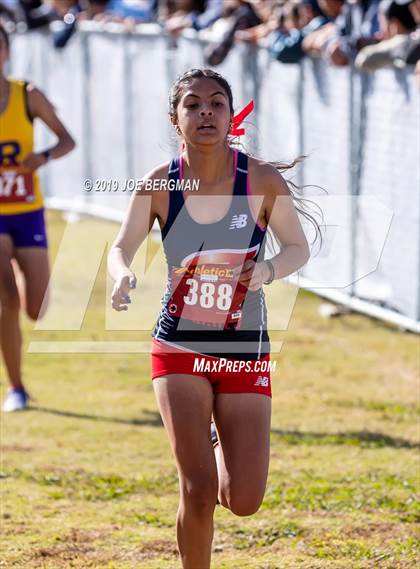 Thumbnail 2 in CIF Central Section Cross Country Championships (Girls D2 Race) photogallery.
