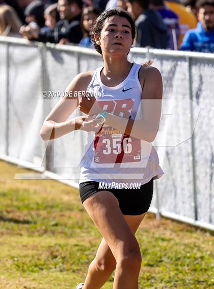 Thumbnail 3 in CIF Central Section Cross Country Championships (Girls D2 Race) photogallery.