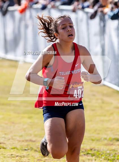Thumbnail 2 in CIF Central Section Cross Country Championships (Girls D2 Race) photogallery.