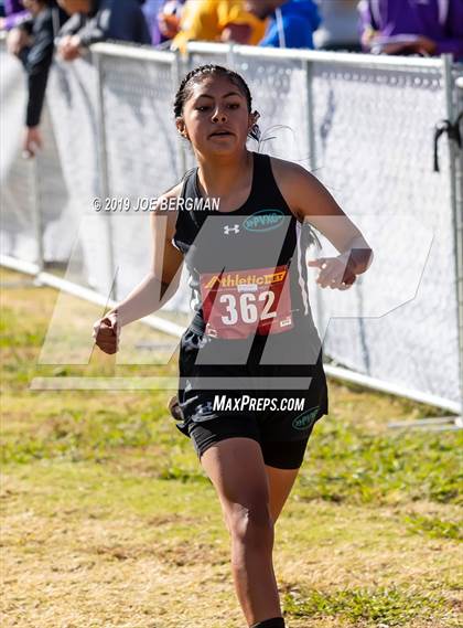 Thumbnail 3 in CIF Central Section Cross Country Championships (Girls D2 Race) photogallery.