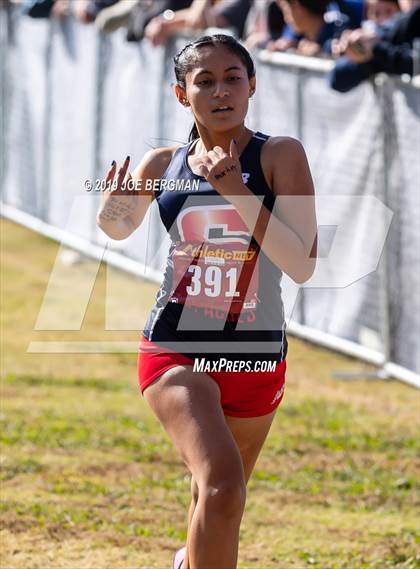 Thumbnail 2 in CIF Central Section Cross Country Championships (Girls D2 Race) photogallery.