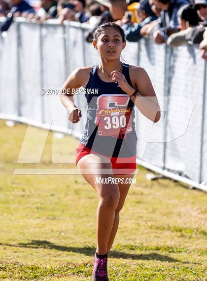 Thumbnail 1 in CIF Central Section Cross Country Championships (Girls D2 Race) photogallery.