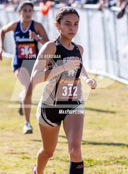 Thumbnail 1 in CIF Central Section Cross Country Championships (Girls D2 Race) photogallery.