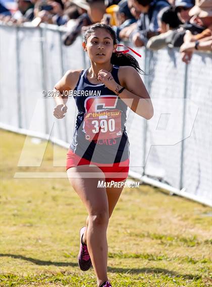 Thumbnail 2 in CIF Central Section Cross Country Championships (Girls D2 Race) photogallery.