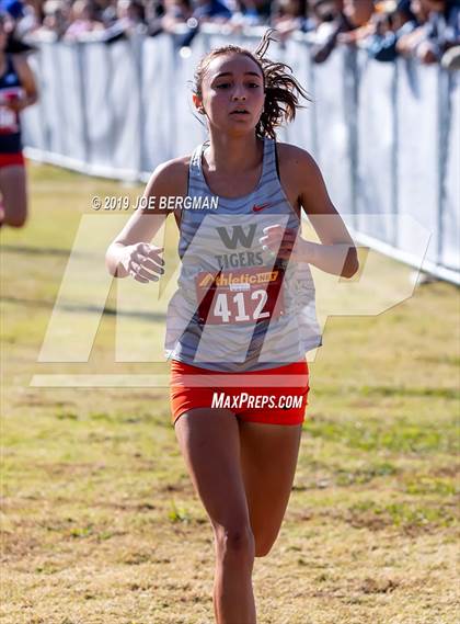Thumbnail 2 in CIF Central Section Cross Country Championships (Girls D2 Race) photogallery.