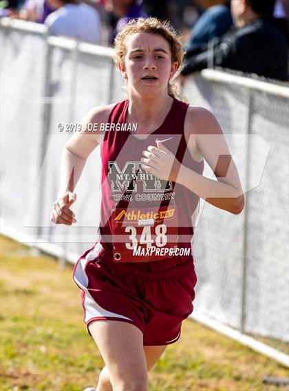 Thumbnail 1 in CIF Central Section Cross Country Championships (Girls D2 Race) photogallery.
