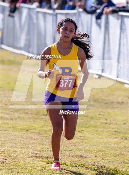 Thumbnail 3 in CIF Central Section Cross Country Championships (Girls D2 Race) photogallery.