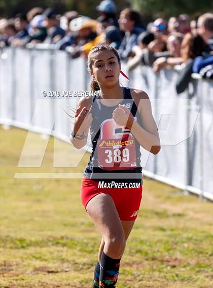 Thumbnail 2 in CIF Central Section Cross Country Championships (Girls D2 Race) photogallery.