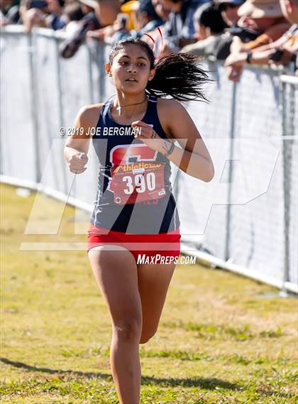 Thumbnail 3 in CIF Central Section Cross Country Championships (Girls D2 Race) photogallery.