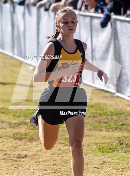 Thumbnail 2 in CIF Central Section Cross Country Championships (Girls D2 Race) photogallery.