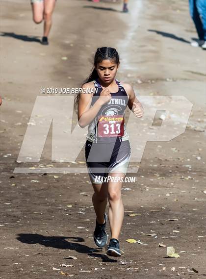 Thumbnail 3 in CIF Central Section Cross Country Championships (Girls D2 Race) photogallery.