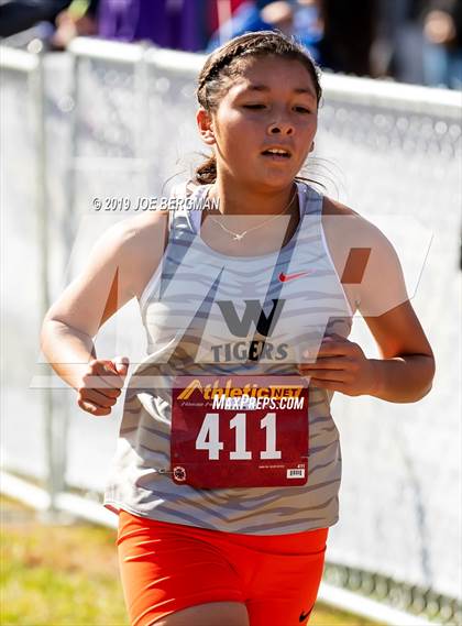 Thumbnail 3 in CIF Central Section Cross Country Championships (Girls D2 Race) photogallery.