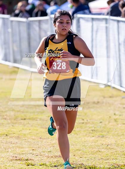 Thumbnail 3 in CIF Central Section Cross Country Championships (Girls D2 Race) photogallery.