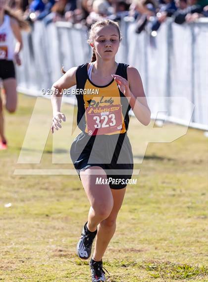 Thumbnail 1 in CIF Central Section Cross Country Championships (Girls D2 Race) photogallery.