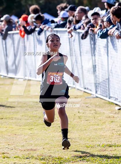 Thumbnail 2 in CIF Central Section Cross Country Championships (Girls D2 Race) photogallery.