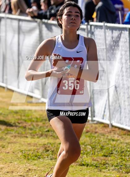 Thumbnail 2 in CIF Central Section Cross Country Championships (Girls D2 Race) photogallery.