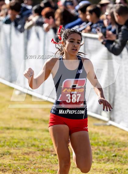 Thumbnail 2 in CIF Central Section Cross Country Championships (Girls D2 Race) photogallery.