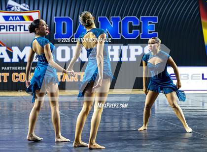 Thumbnail 2 in Cactus Shadow - (AIA Small Jazz Final) photogallery.