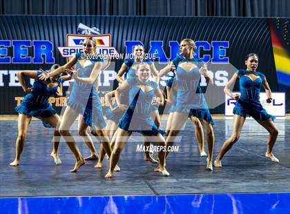 Thumbnail 3 in Cactus Shadow - (AIA Small Jazz Final) photogallery.