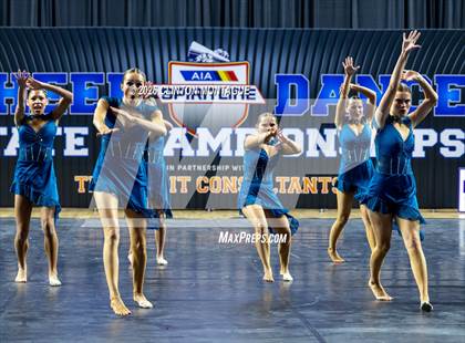Thumbnail 1 in Cactus Shadow - (AIA Small Jazz Final) photogallery.