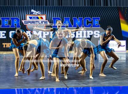 Thumbnail 1 in Cactus Shadow - (AIA Small Jazz Final) photogallery.