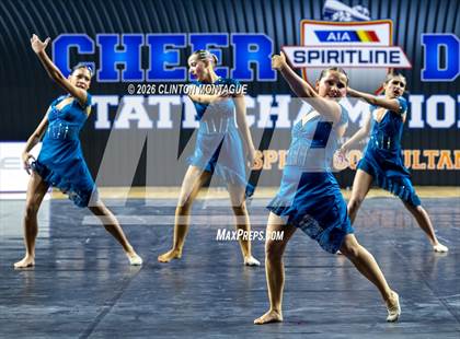 Thumbnail 3 in Cactus Shadow - (AIA Small Jazz Final) photogallery.