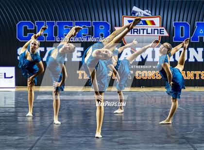 Thumbnail 3 in Cactus Shadow - (AIA Small Jazz Final) photogallery.