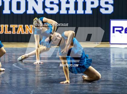 Thumbnail 1 in Cactus Shadow - (AIA Small Jazz Final) photogallery.